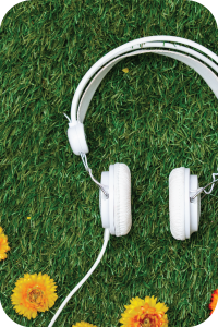 13-farmtable-tv-slider-image-200x300px